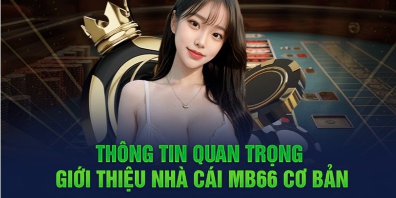 Hình minh họa — Ae88