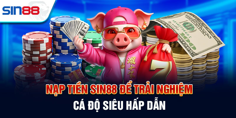 Hình minh họa — Ae88