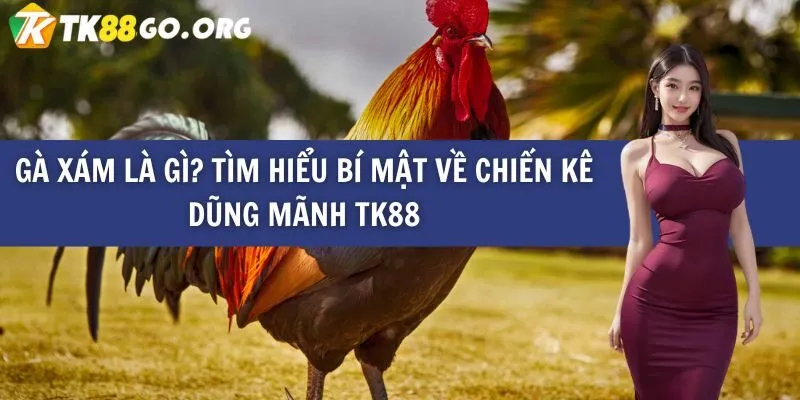 Hình minh họa — Ae88